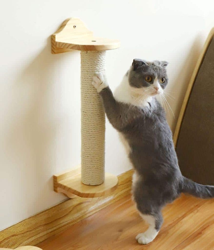 Arbre à Chat En Sisal Avec Jouet - Griffoir Compact 20x20x18 Cm, Base Stable, Pour Chaton Et Chat, Protection Meubles